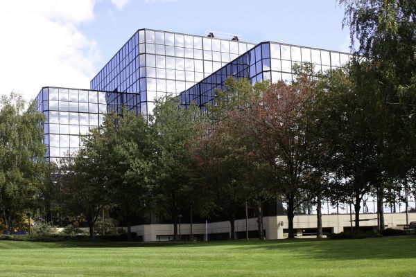 Commercial Tree Trimming in West Des Moines