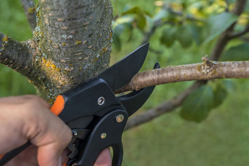 Tree Pruning Tools